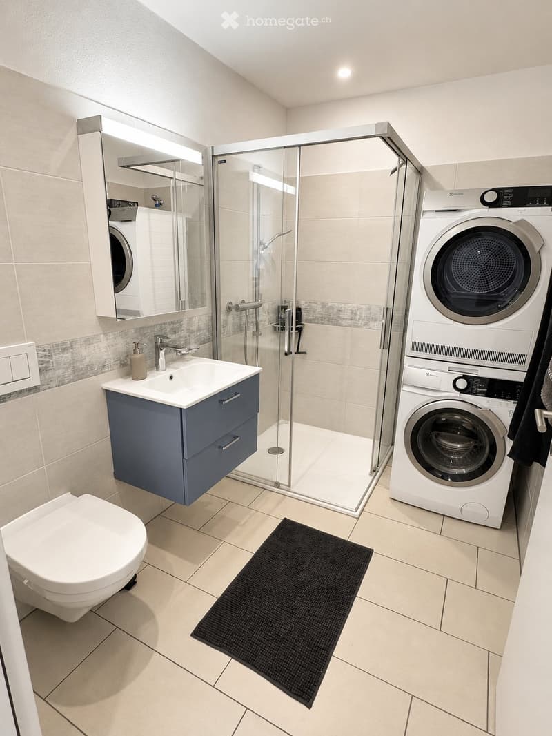 2.5-Zimmer-Wohnung, großer Balkon, voll möbliert (BEFRISTET) (4)