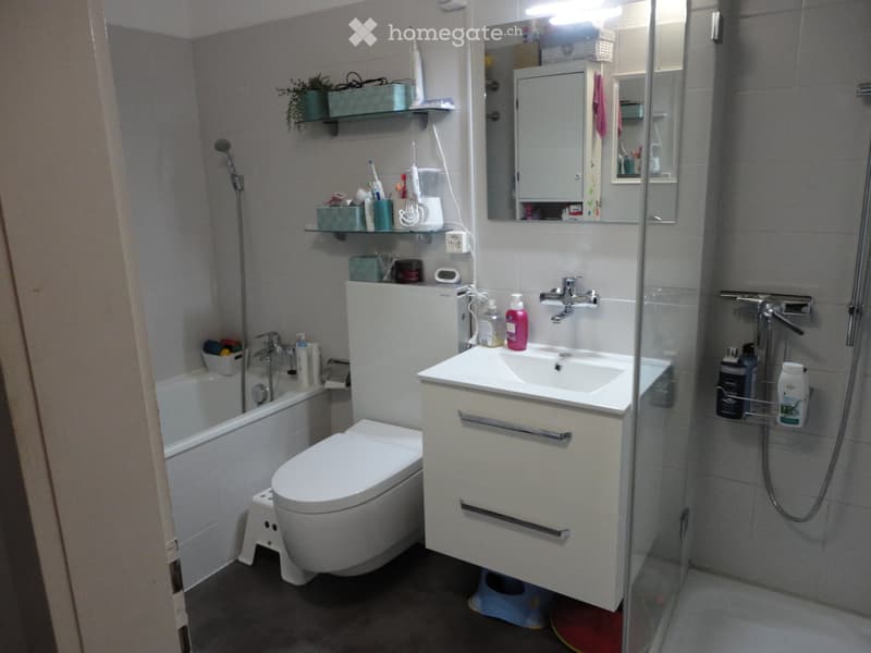 Zu vermieten schöne 3.5 Zimmerwohnung (3)