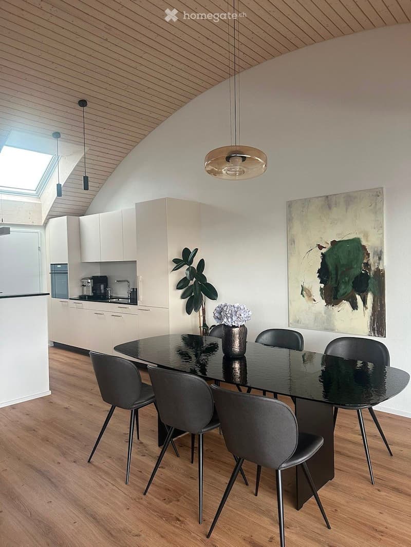 3.5 Zimmer Attikawohnung (2)
