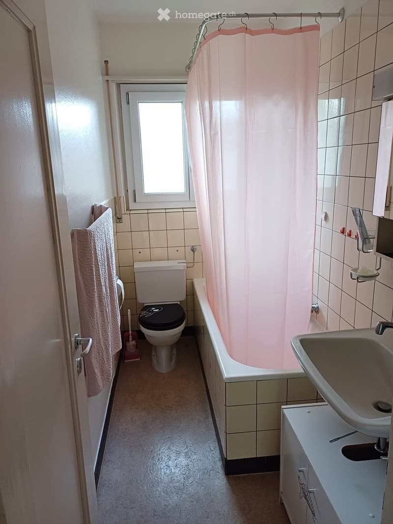Möblierte Wohnung in Köniz befristet zu vermieten (4)