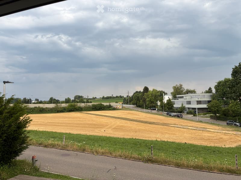 Renovierte 4.5-Zimmer-Wohnungen in 8306 Brüttisellen (1)