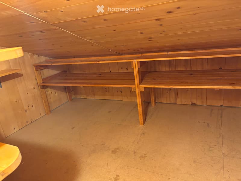 1,5 Zi.- Wohnung in Spiez zu vermieten (3)