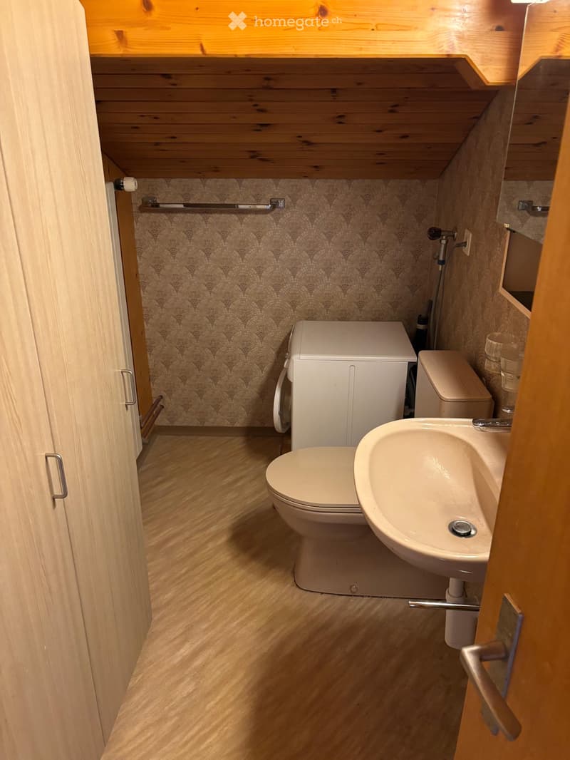 1,5 Zi.- Wohnung in Spiez zu vermieten (2)