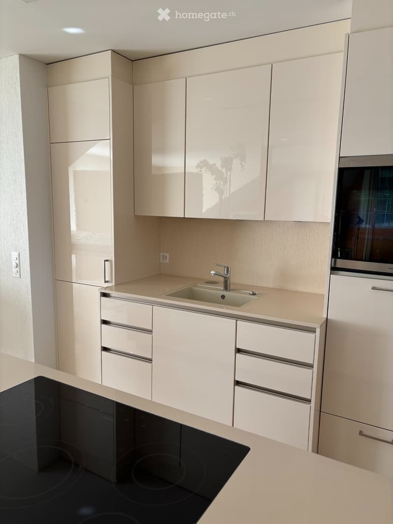 Loft - Dachwohnung (4)