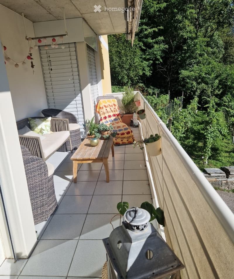 Appartamento ai Ronchini in Vallemaggia (4)