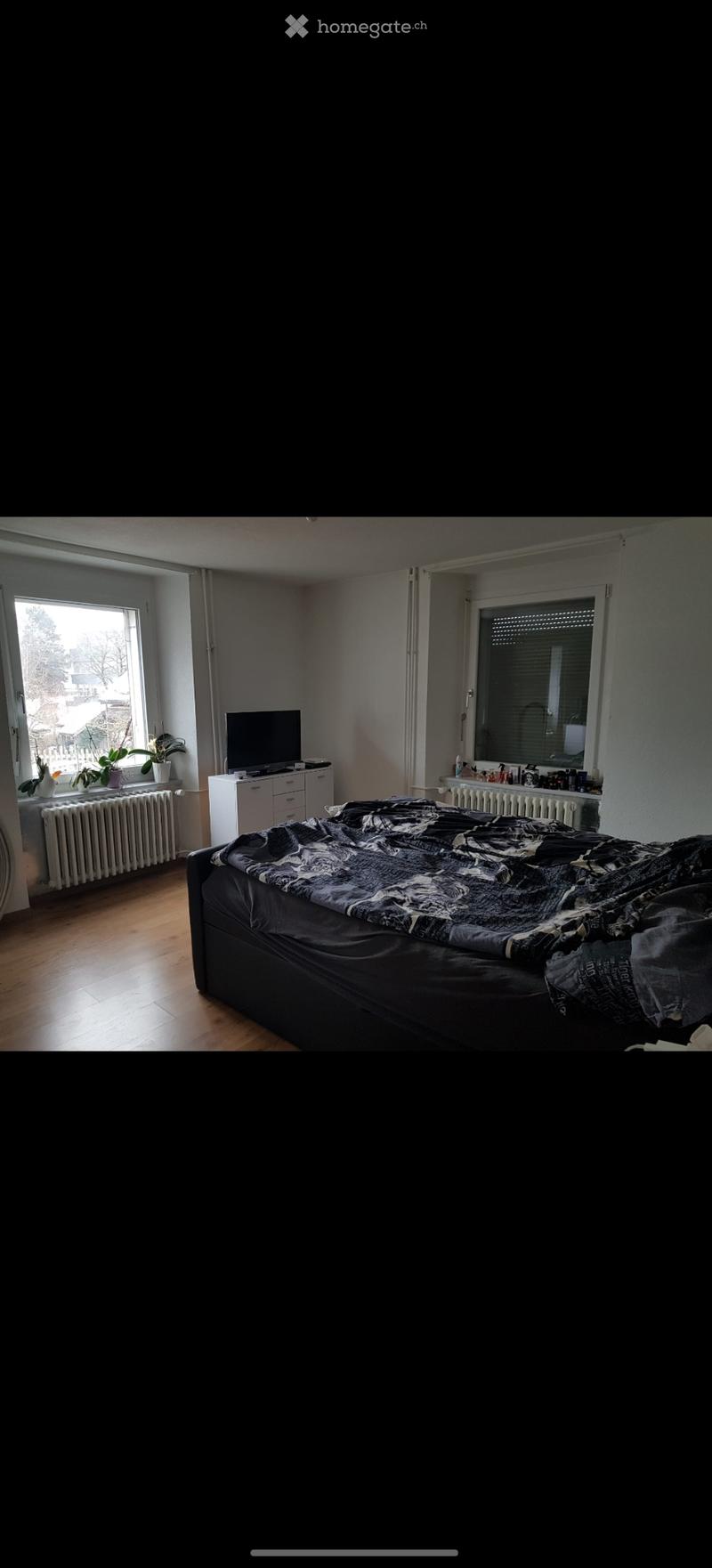 Willkommen an der Gartenstrasse in Langendorf (4513) (2)