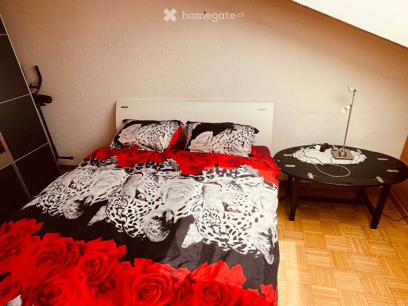 Sehr schönes, gemütliches vollmöbliertes WG-Zimmer ab SOFORT (3)