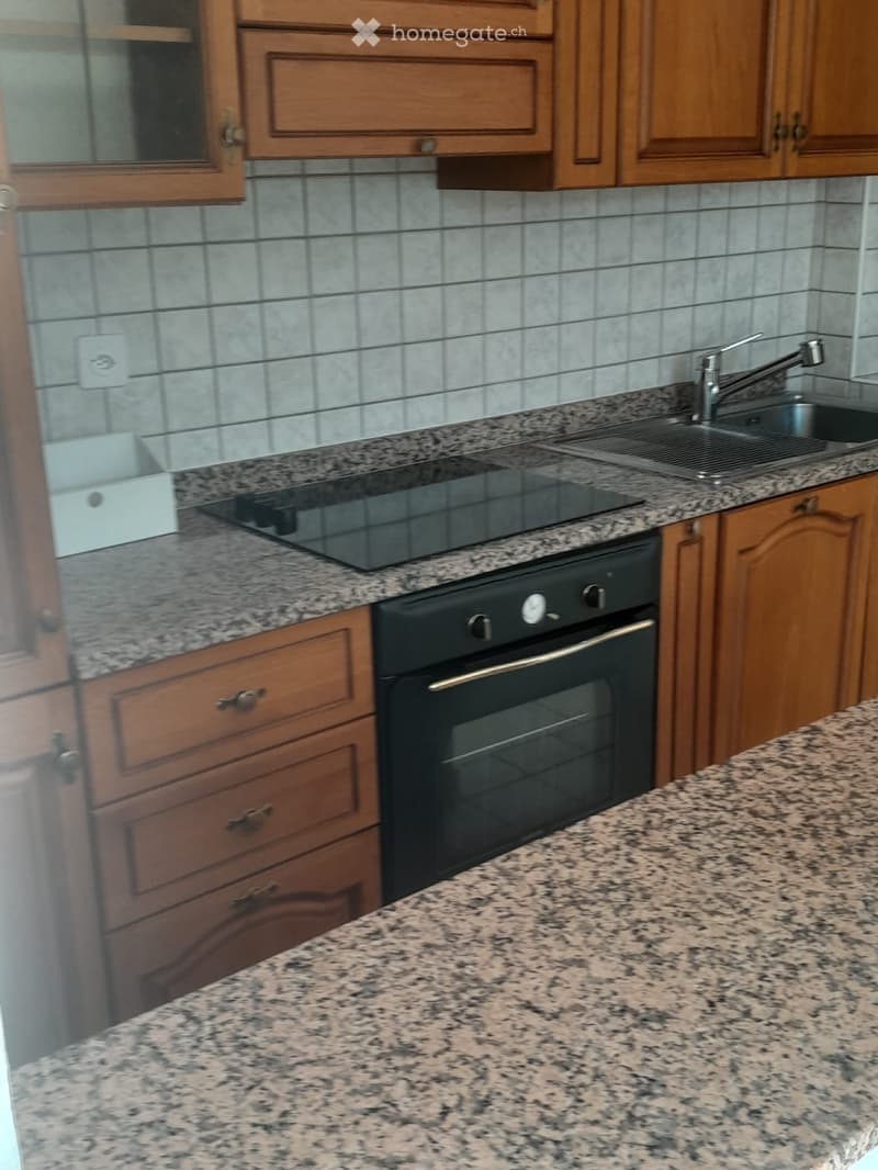 Appartamento 3 Locali Locarno (2)