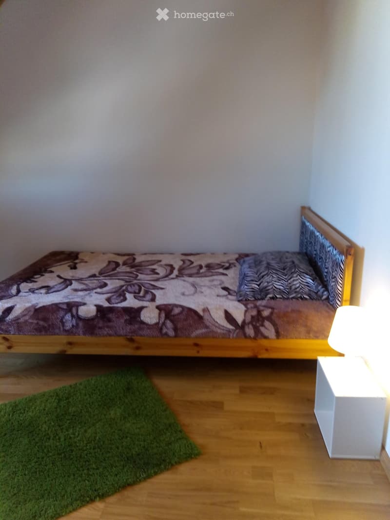 Nähe ÖV - Hübsches möbliertes Zimmer mit Doppelbett in Basel (2)
