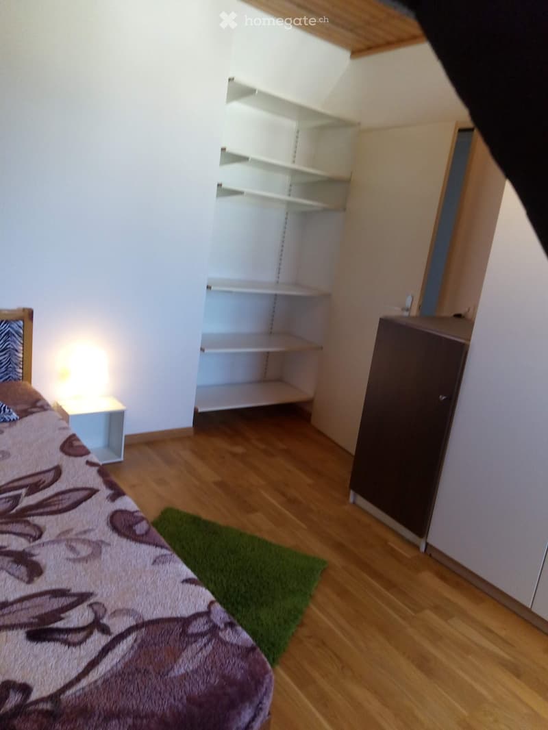 Nähe ÖV - Hübsches möbliertes Zimmer mit Doppelbett in Basel (1)