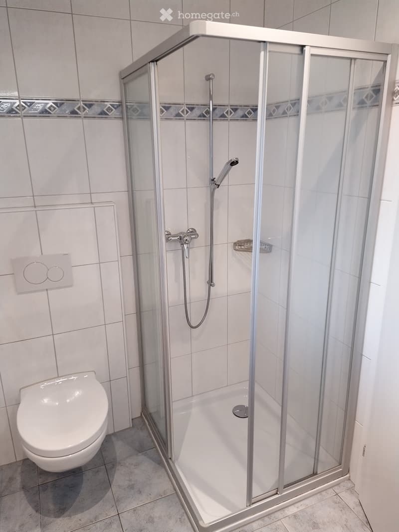 2 1/2 Zimmer-Wohnung (4)