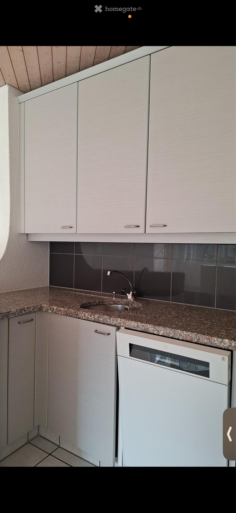 3.5 Zimmer Wohnung (2)