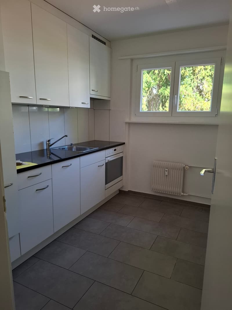 Nachmieter für 4-Zimmer Wohnung gesucht (1)