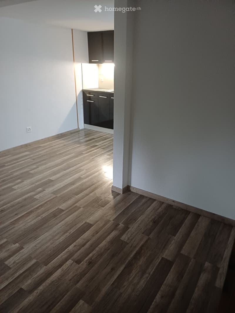 1 Zimmer Wohnung (1)
