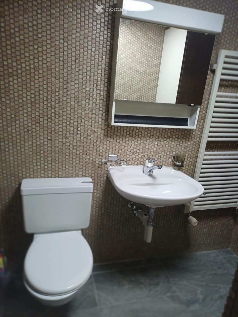 1 Zimmer Wohnung (5)