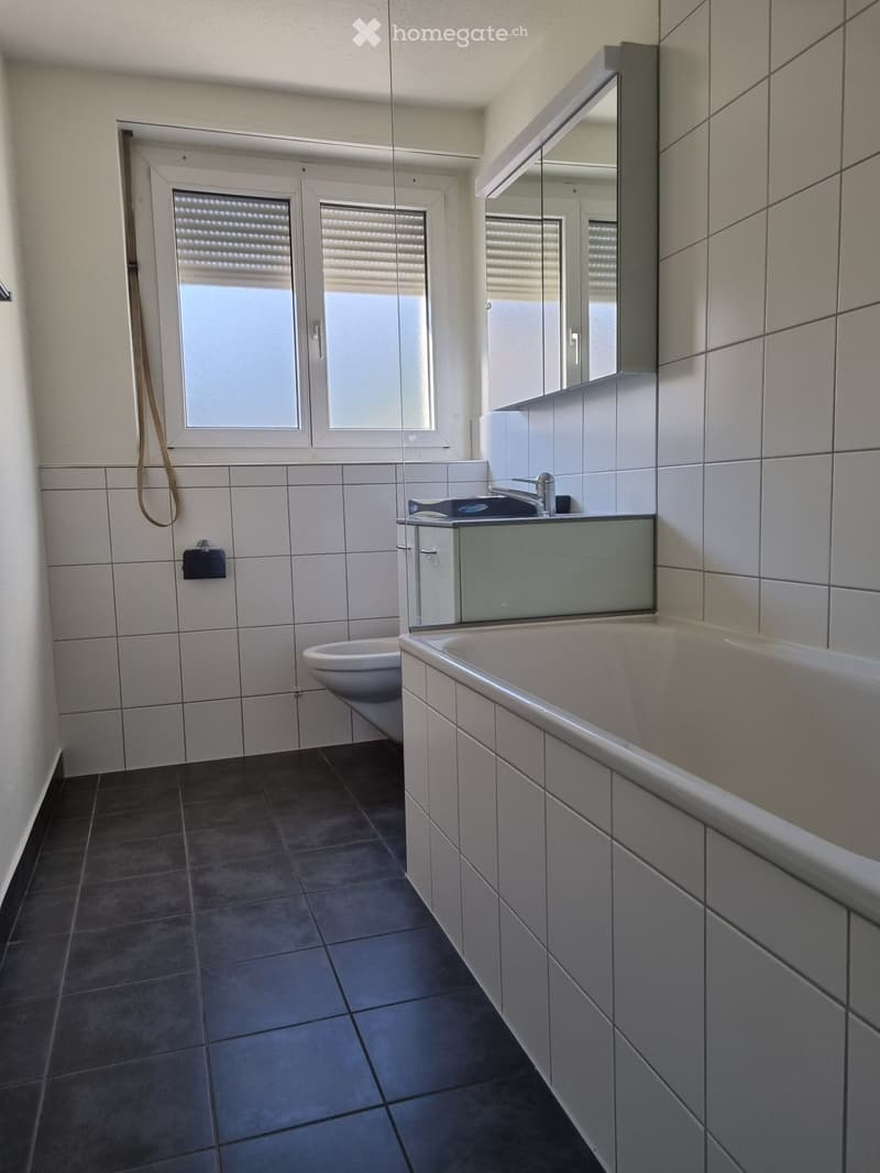 Neu renovierte 4 Zimmer Wohnung, mit Aussicht ins Grüne (3)