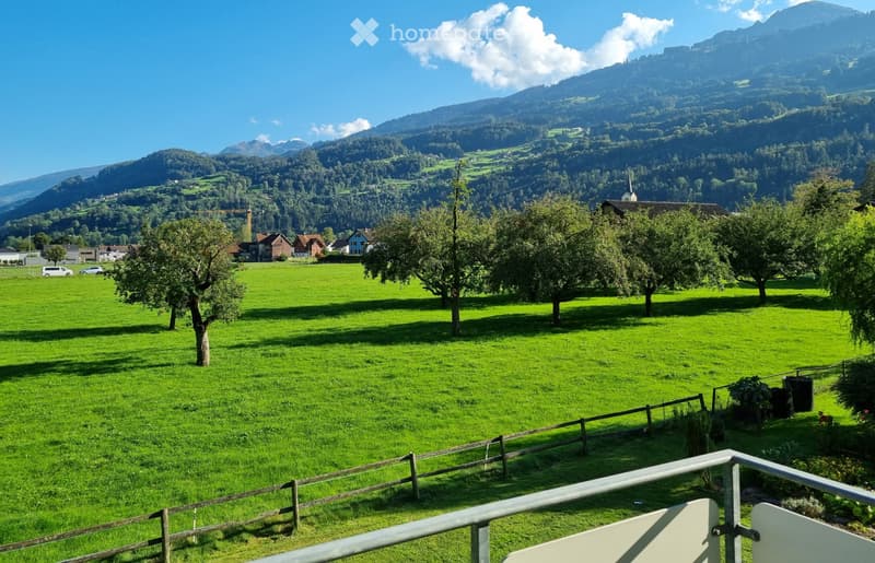 Neu renovierte 4 Zimmer Wohnung, mit Aussicht ins Grüne (1)