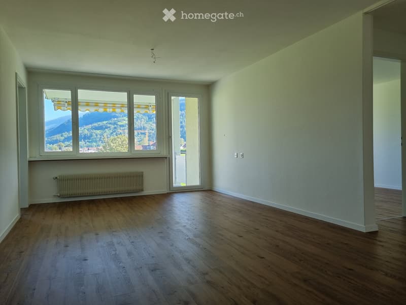 Neu renovierte 4 Zimmer Wohnung, mit Aussicht ins Grüne (2)
