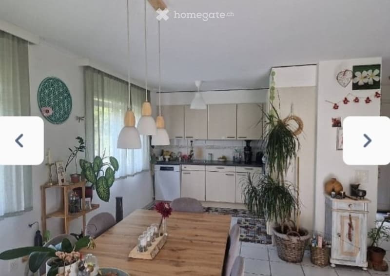 Appartamento da affittare 3,5 locali (3)
