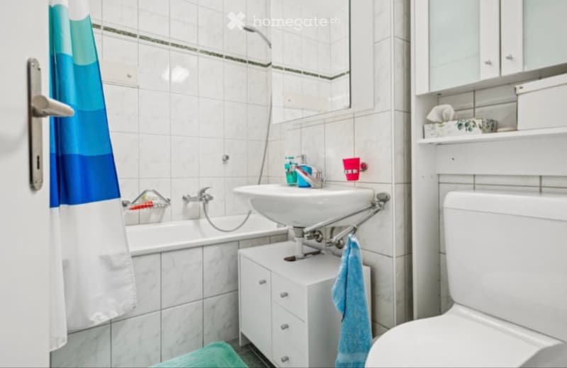 Befristete 4-Zimmer-Wohnung in Thalwil zu vermieten (4)