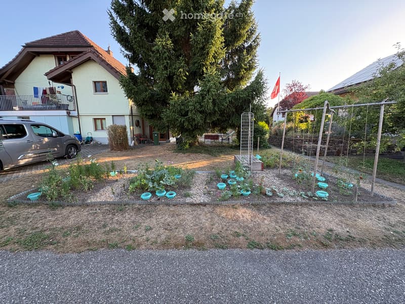 4 ½ Zimmer-Wohnung in Däniken (5)