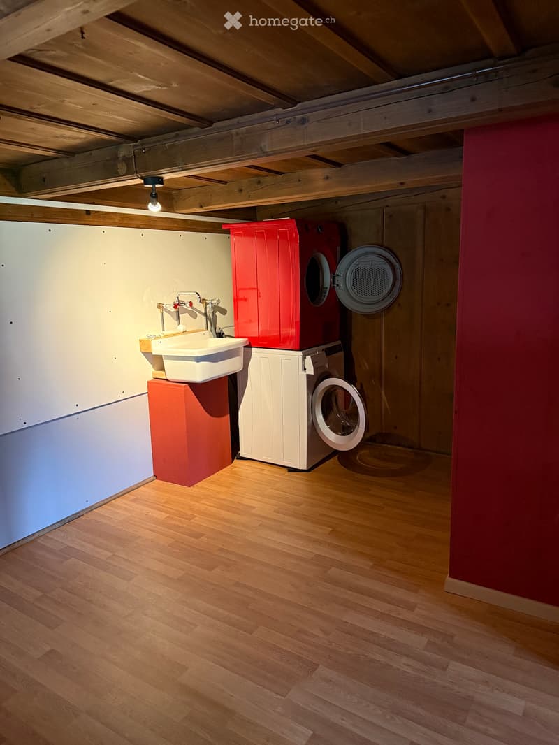 3.5 Zimmer Wohnung mit Gallerie (5)