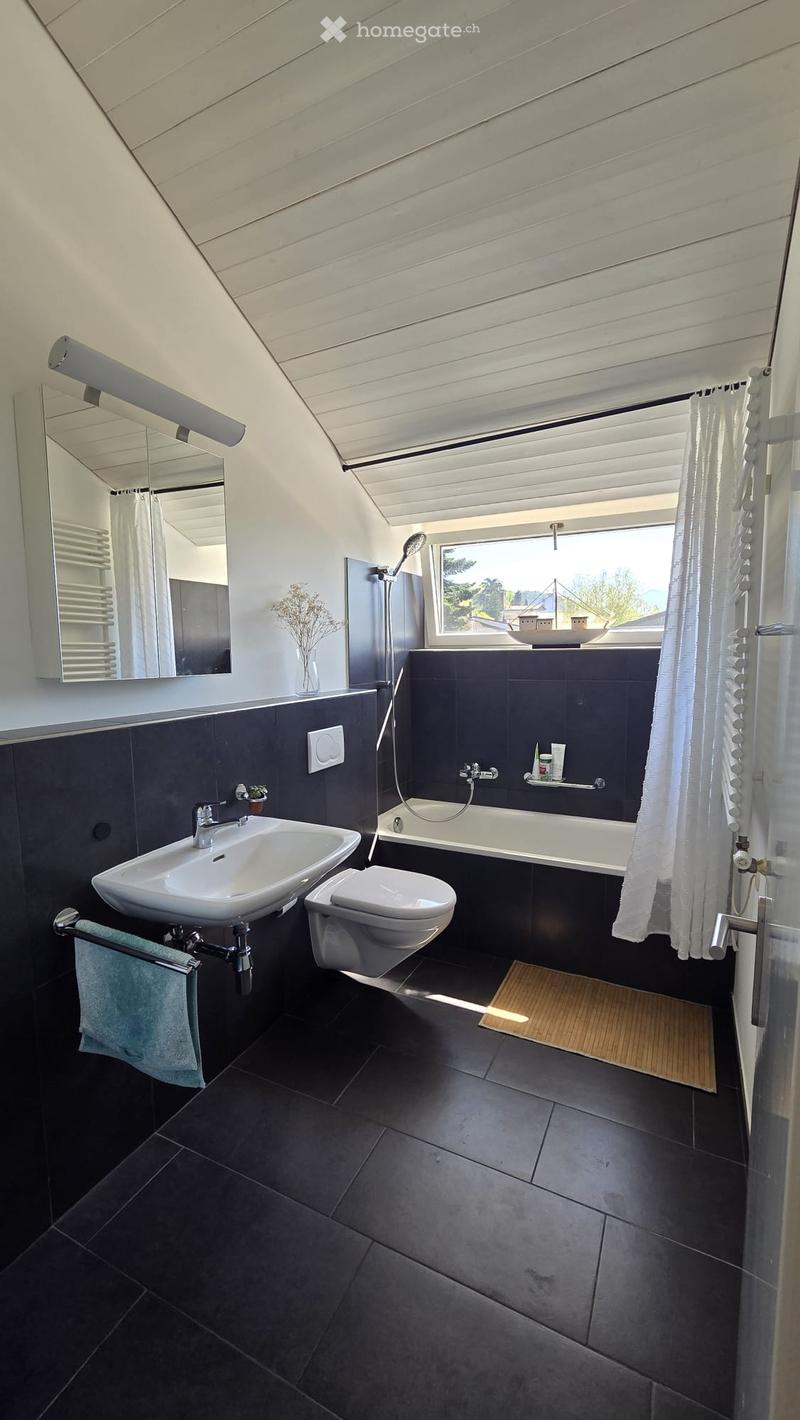 Cercasi subentrante - DUPLEX mansardato (4)