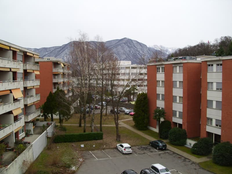 Lugano, Affittasi appartamento 2.5 Locali, molto luminoso (5)