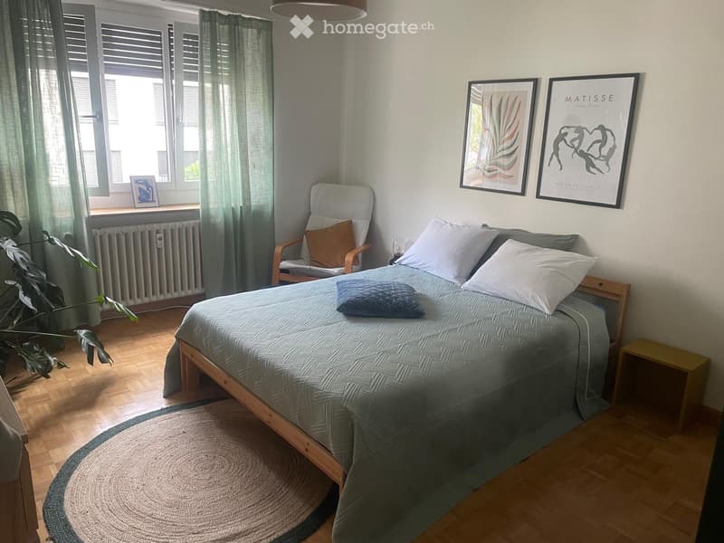 Furnished 3 room Apartment for Sublet from 1 November 2026 (2)