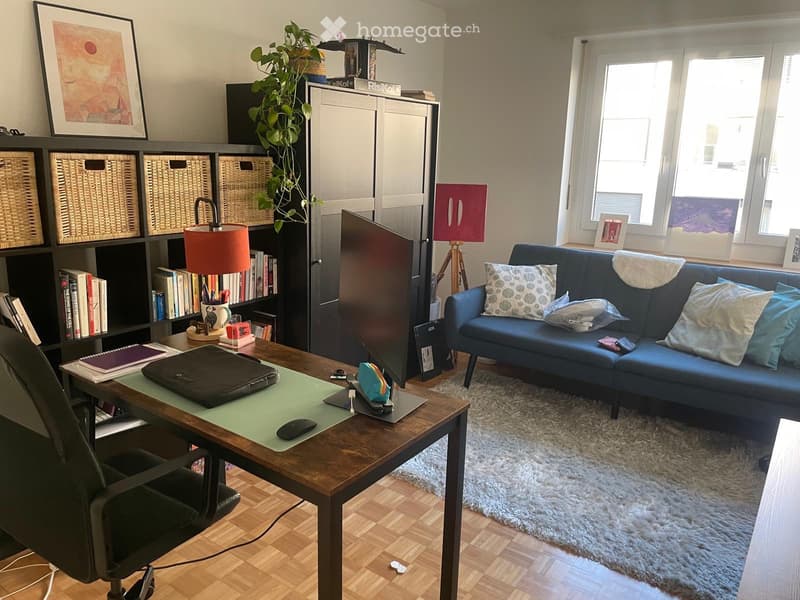 Furnished 3 room Apartment for Sublet from 1 November 2026 (3)