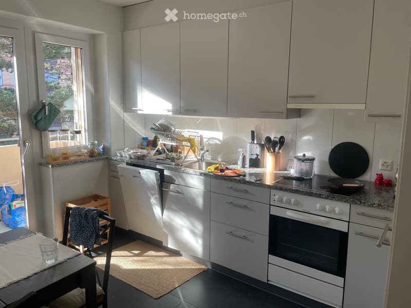 Furnished 3 room Apartment for Sublet from 1 November 2026 (4)