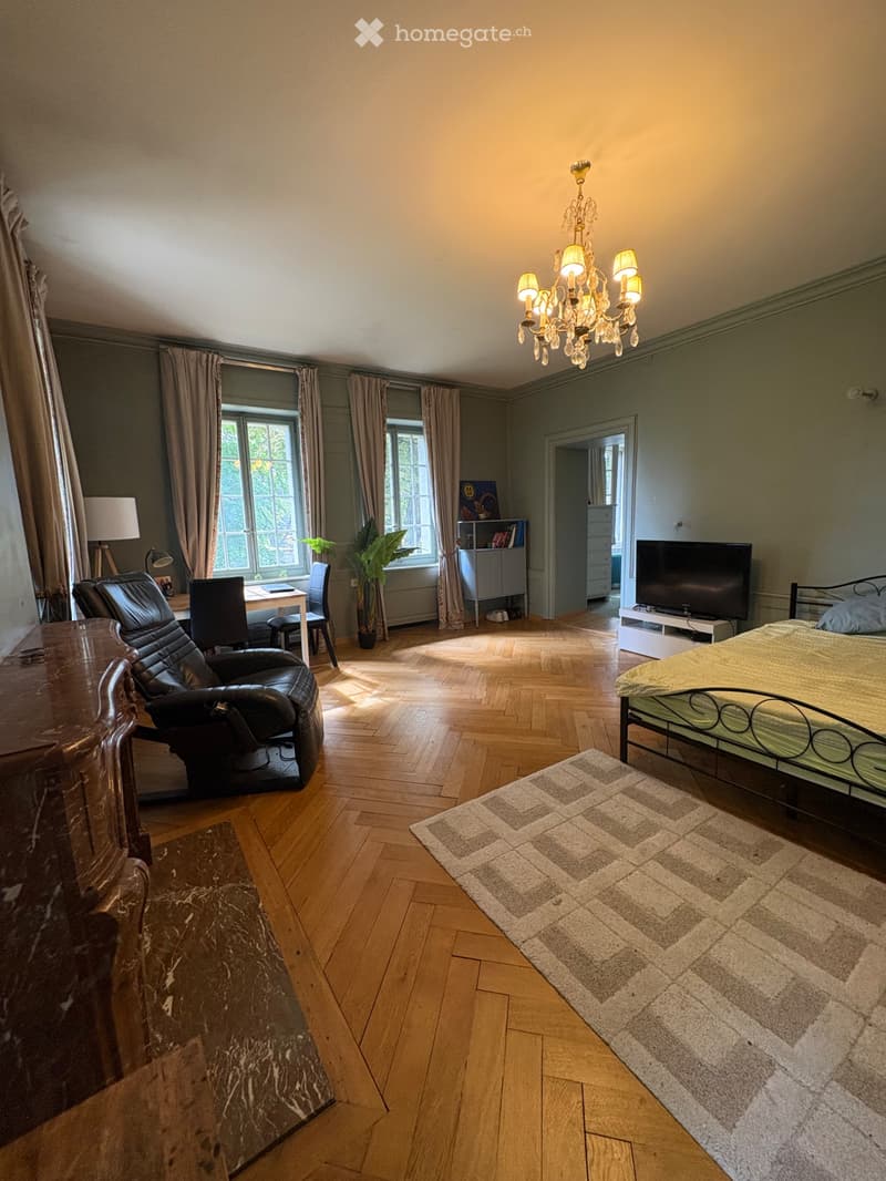 Chambre de caractère-  40 m²- sdb. privée dans un Château (5)