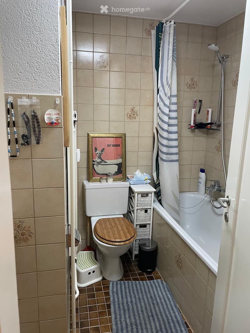Möblierte 3-Zimmer zur Zwischenmiete 29.11.26 bis 28.01.27 (2)