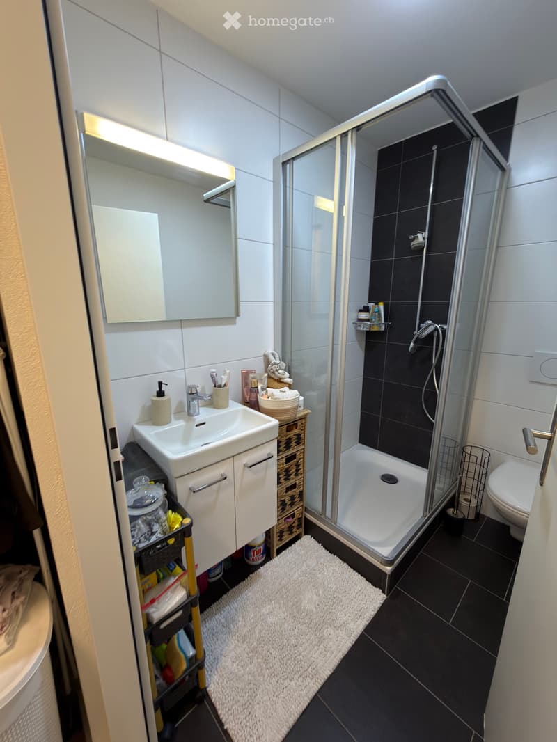 Wohnung zu vermieten & Möbel zu verkaufen (5)