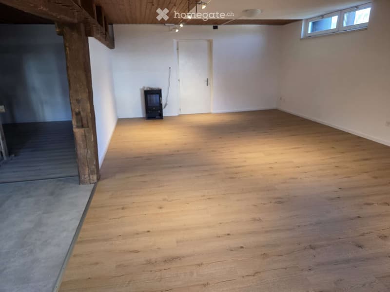 Loftwohnung oder Büro-Atelier (2)