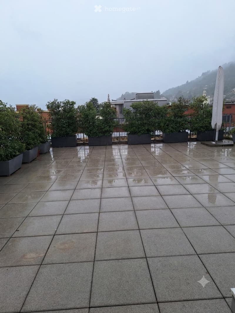 Cerchiamo subentrante per appartamento con rooftop (5)