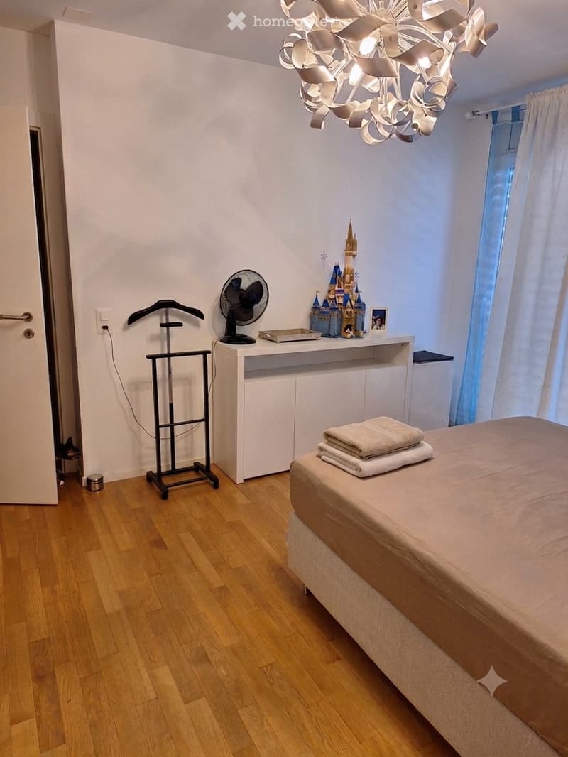 Cerchiamo subentrante per appartamento con rooftop (1)