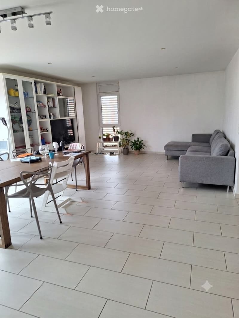 Cerchiamo subentrante per appartamento con rooftop (2)
