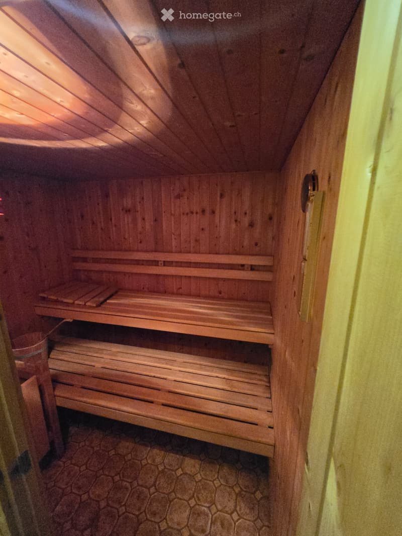 4.5 appena rinnovato, grande giardino privato, due posteggi (5)