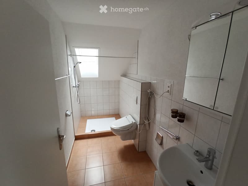 Helle 3.5-Zimmer-Whg. mit grosser Sonnenterrasse im Grünen (2)