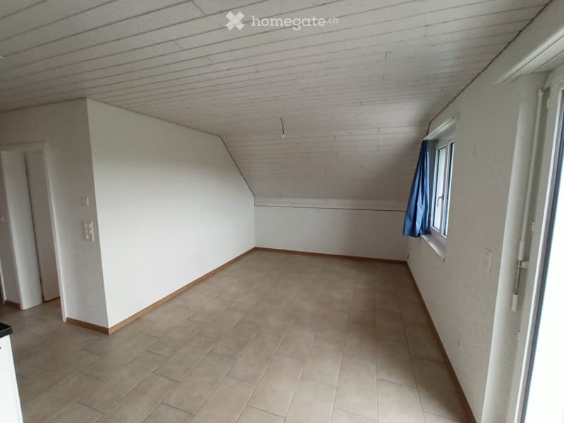 Helle 3.5-Zimmer-Whg. mit grosser Sonnenterrasse im Grünen (3)