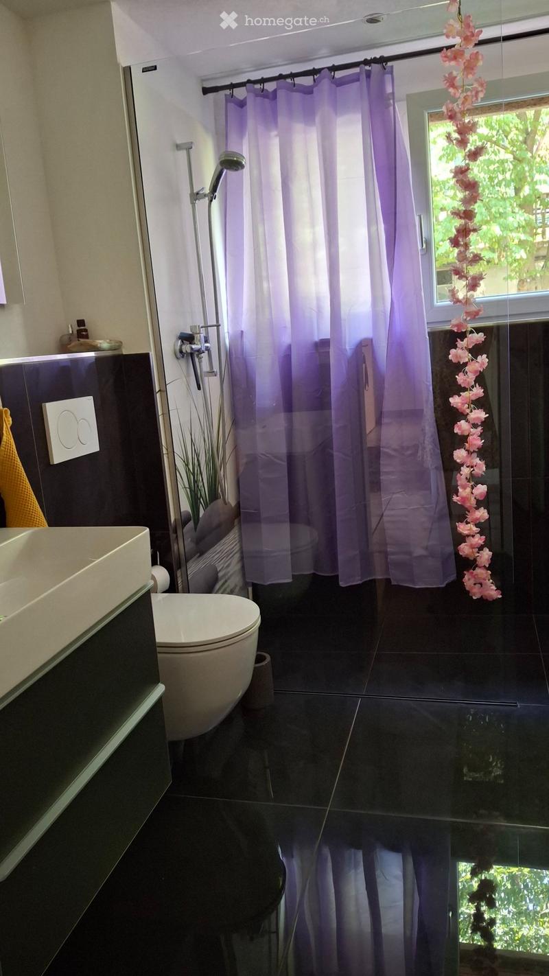 3 1/2 Zi.-wohnung/ Wohnpartnerschaft gesucht (3)