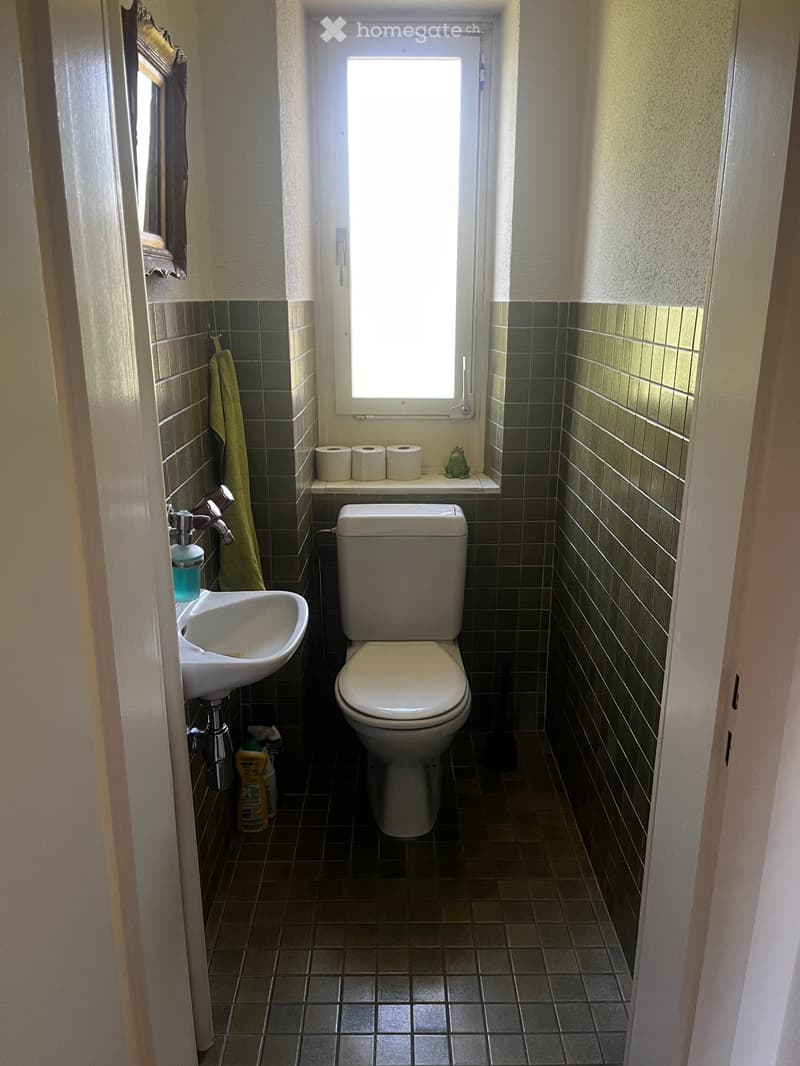 2-room apartment with living room and balcony in Winterthur (5)