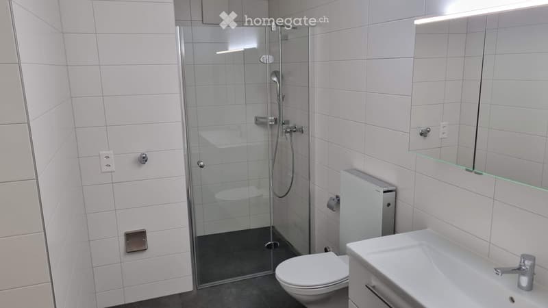 Grosse 4.5-Zimmer-Wohnung (1. OG) (3)