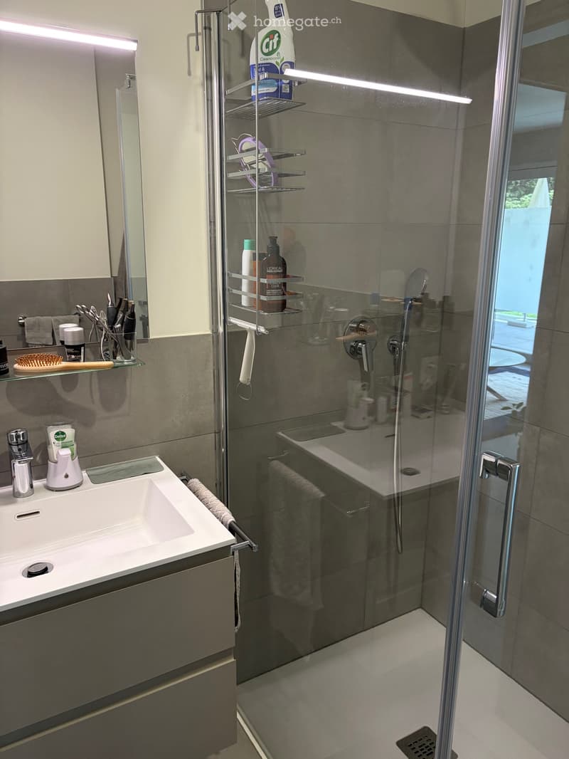 Moderno appartamento di 3.5 camere (5)