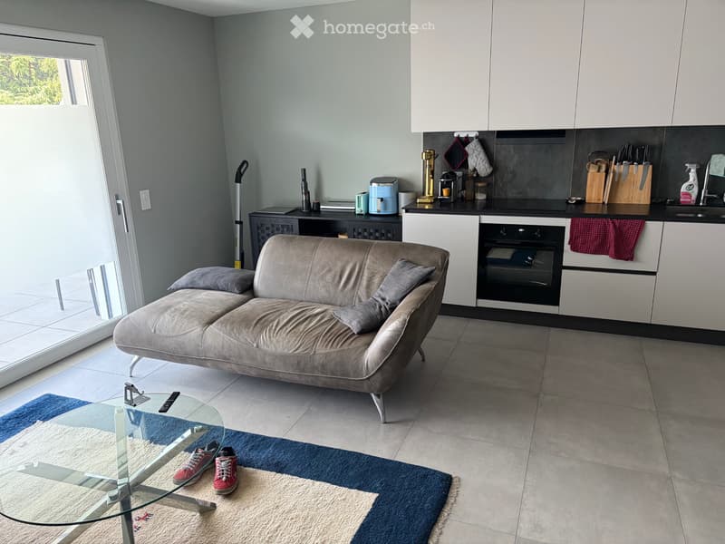 Moderno appartamento di 3.5 camere (1)