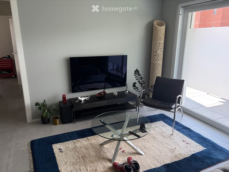 Moderno appartamento di 3.5 camere (2)