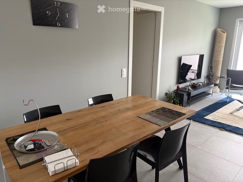 Moderno appartamento di 3.5 camere (3)