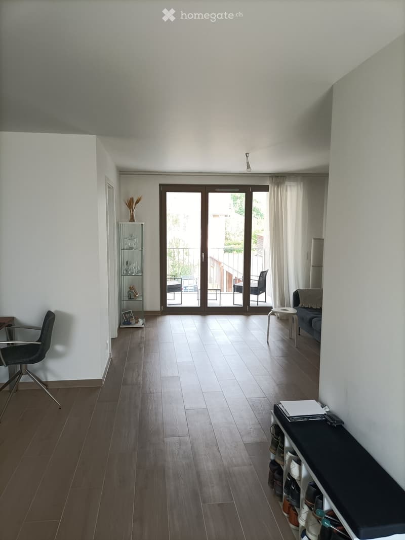 Modern Apartment in Confignon (1)