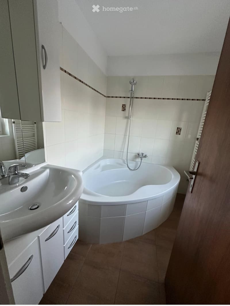 Helle 2 Zimmer WHG in St.Margrethen zu vermieten (2)
